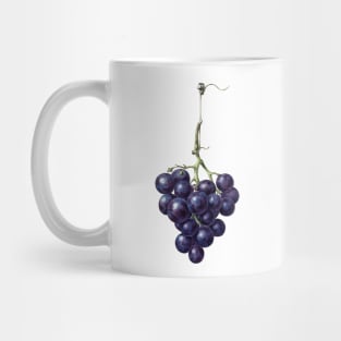 Bunch of blue grapes by Jean Bernard Mug